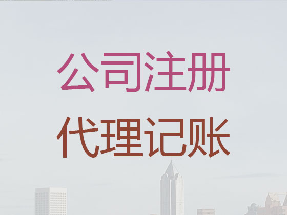 三亚公司代理记账报税|代办代理科技公司记账